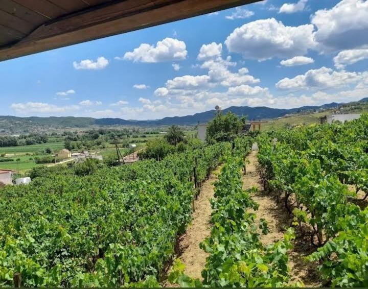 Vila Shehi Guesthouse And Winery Muçaj エクステリア 写真
